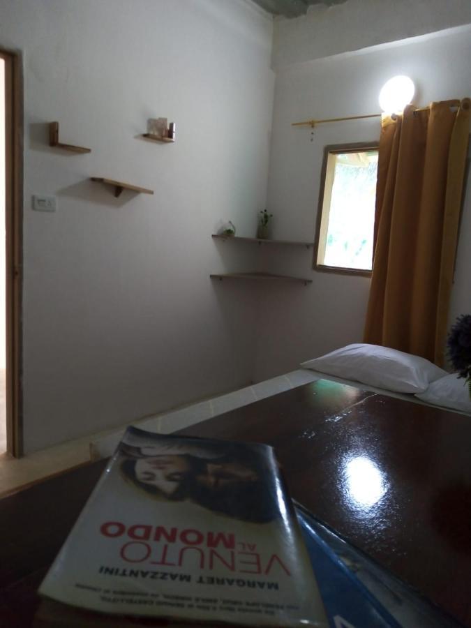 Hostal Paloma Cafe Паломино Экстерьер фото